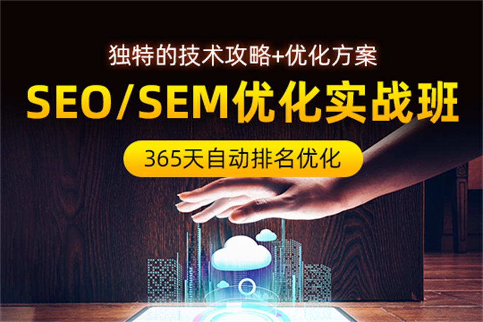 SEO优化实战班