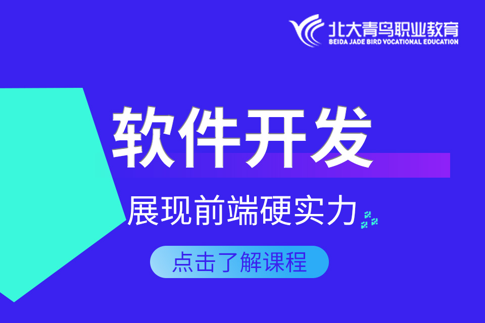 北京软件开发