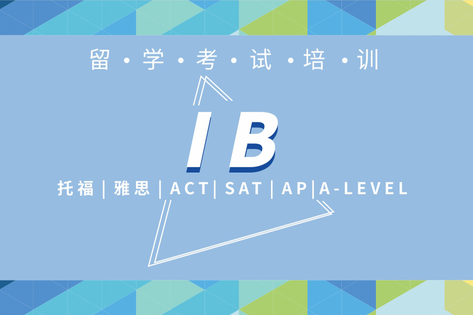 成都IB 1V1定制课程