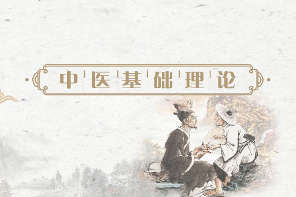 成都中医基础理论