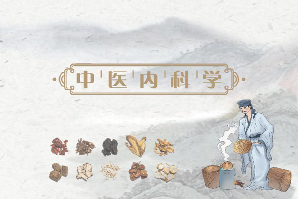 成都中医内科学