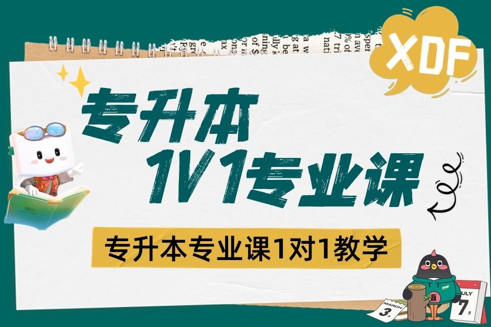 呼和浩特专升本专业课1V1