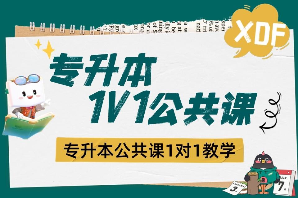 呼和浩特专升本公共课1v1