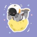 梅*杨