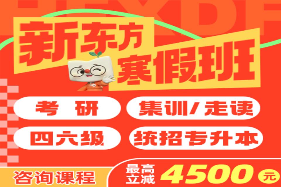 合肥全类寒假班