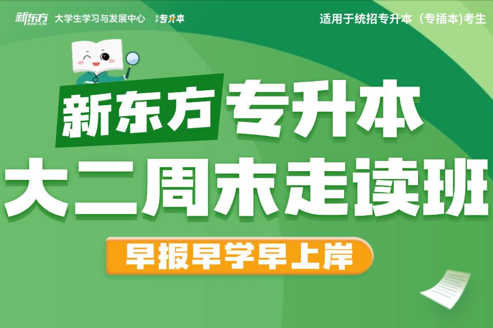 广州专升本周末走读班