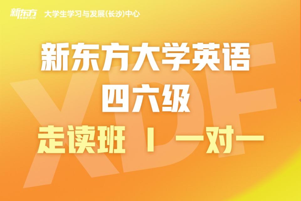 长沙大学英语四六级1v1