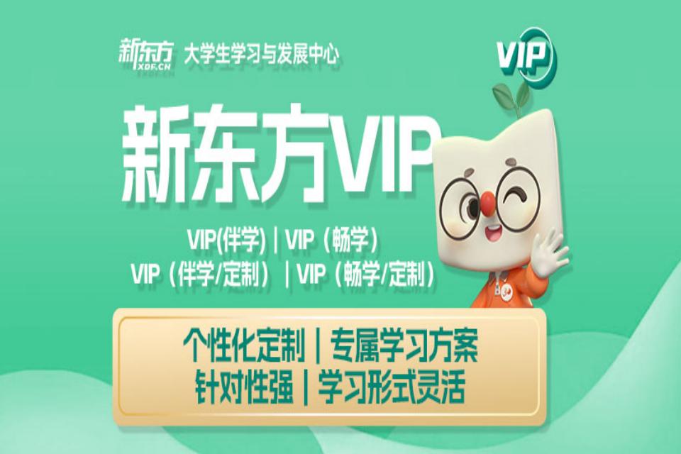 北京考研VIP定制课程