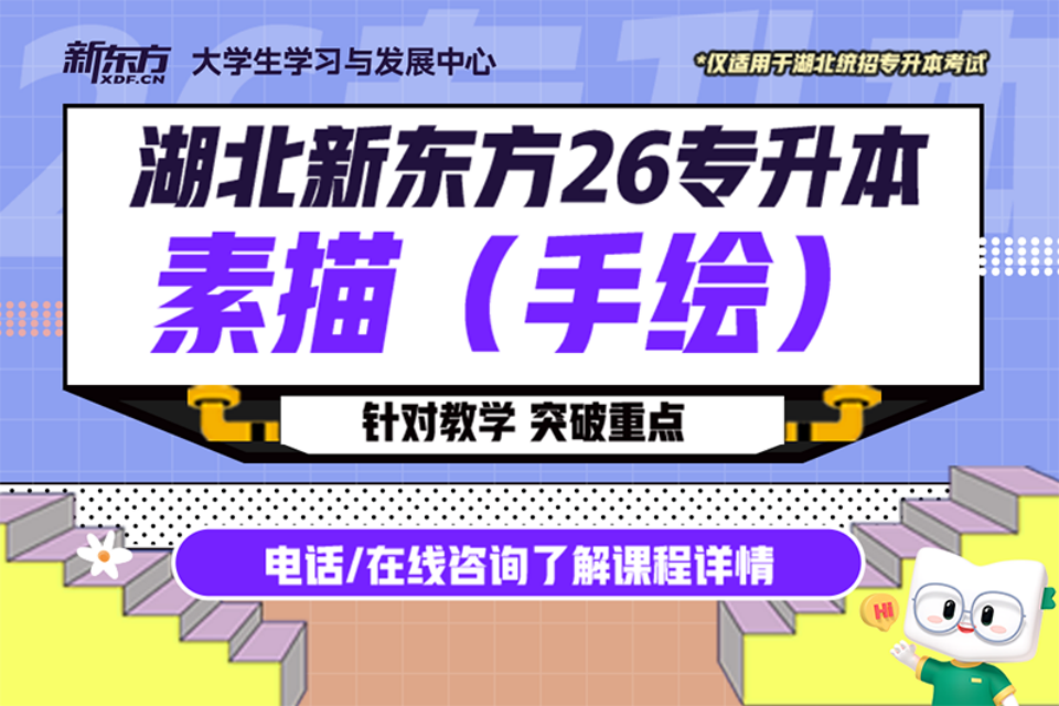 武汉26专升本素描手绘课