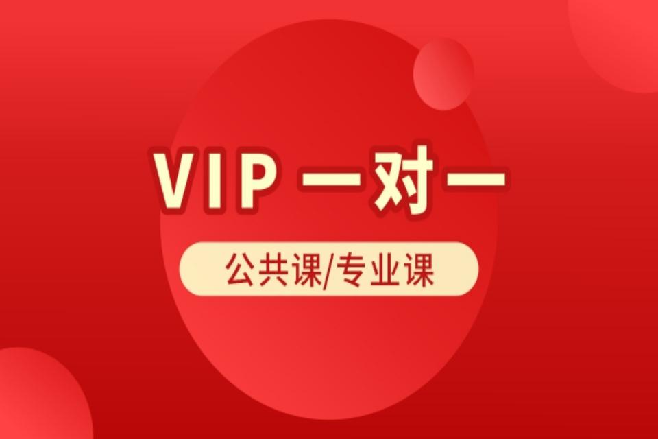 长沙考研精品一对一VIP