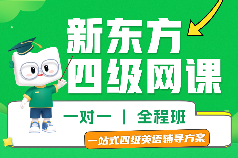 上海四级网课一对一