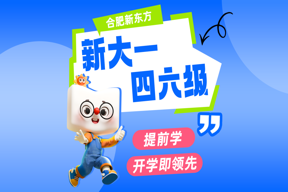 合肥新大一四六级