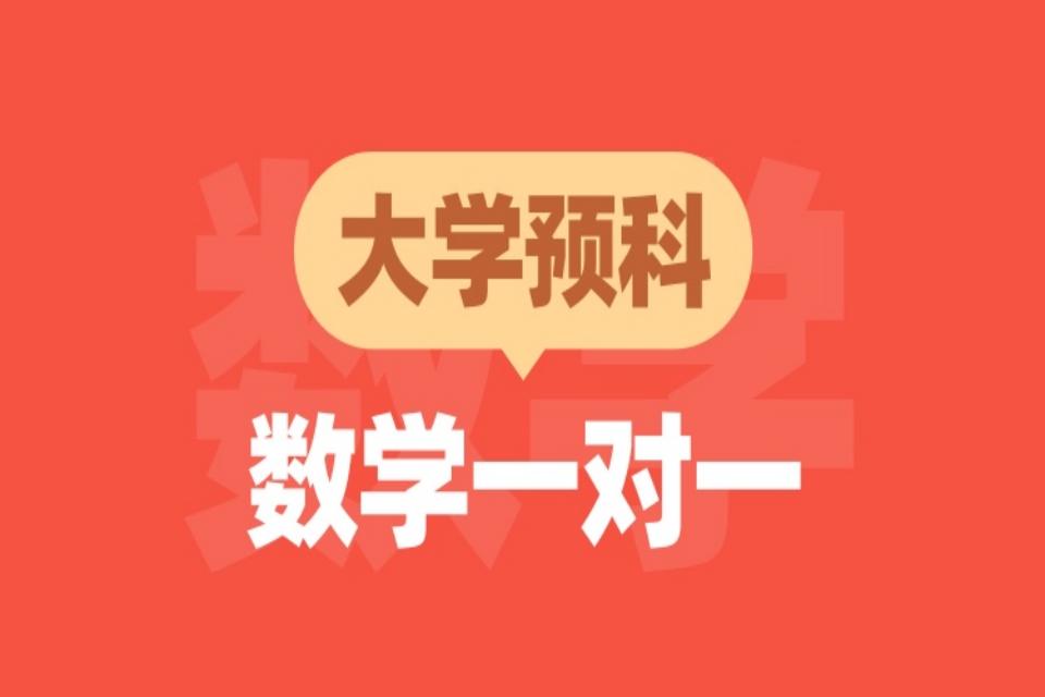 大学预科数学一对一