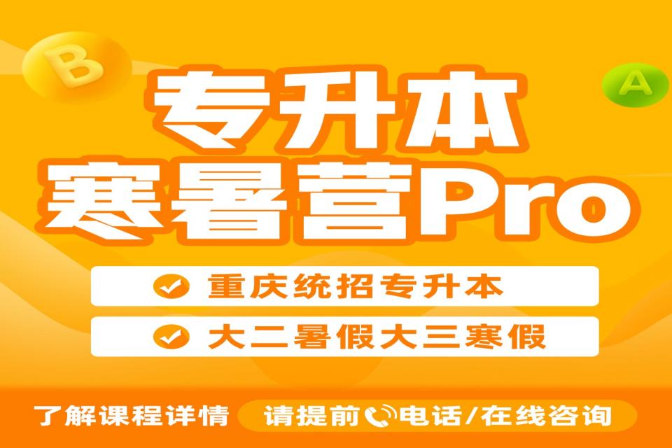 重庆寒暑集训营Pro