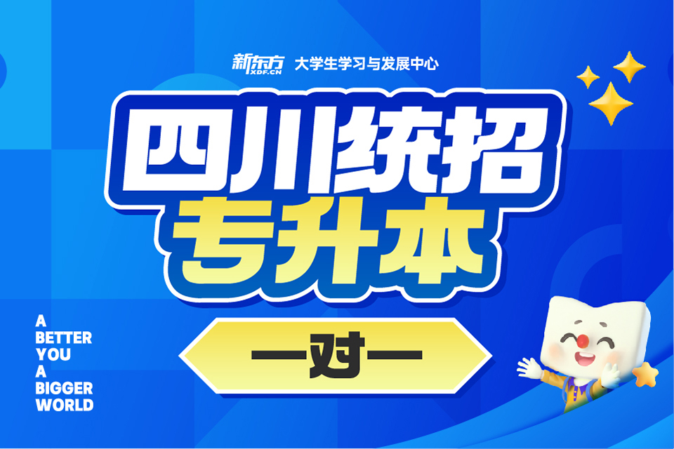 成都统招专升本一对一