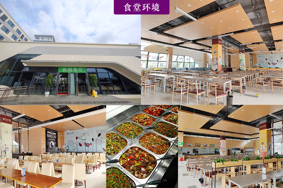 成都智得教育（集训基地）校区环境