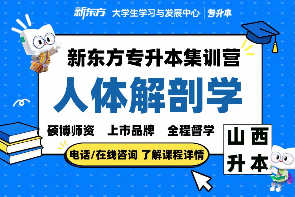 太原专升本集训人体解剖学